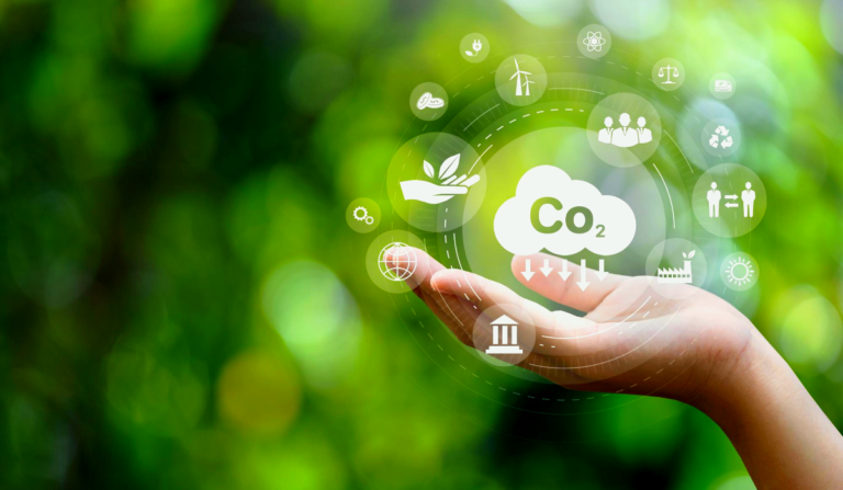 Carbon Footprint in the Digital Age: The Environmental Impact of the Internet